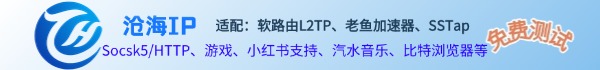 老鱼 IP:高效 IP 代理解决方案-Socks5/L2TP代理